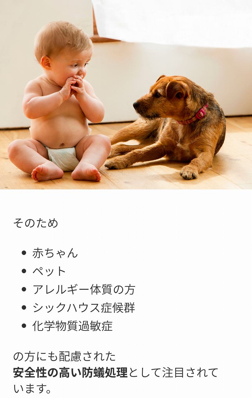 赤ちゃんやペットにも安全なホウ酸イメージ画像