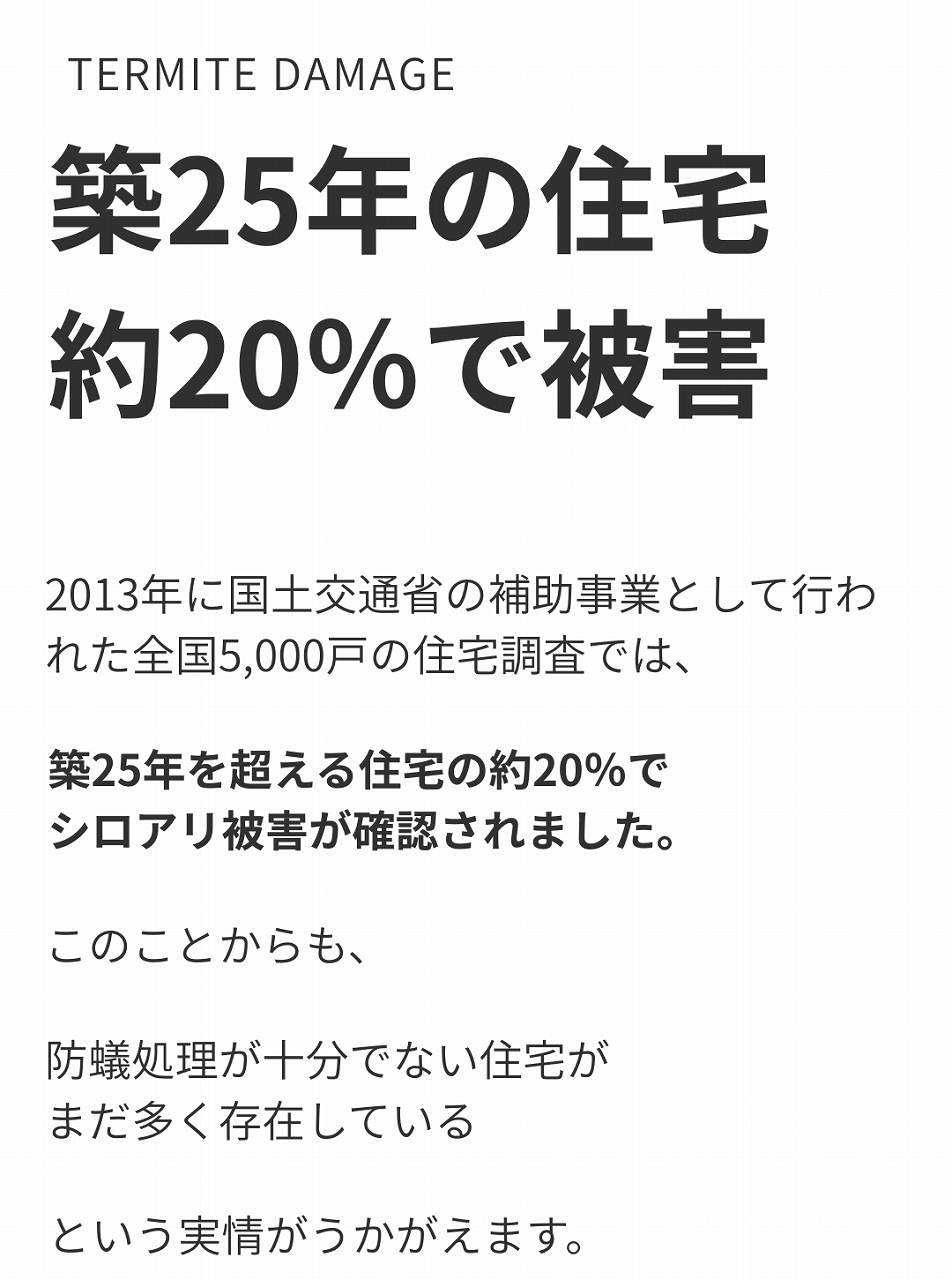 築25年の住宅の約20％で白蟻被害