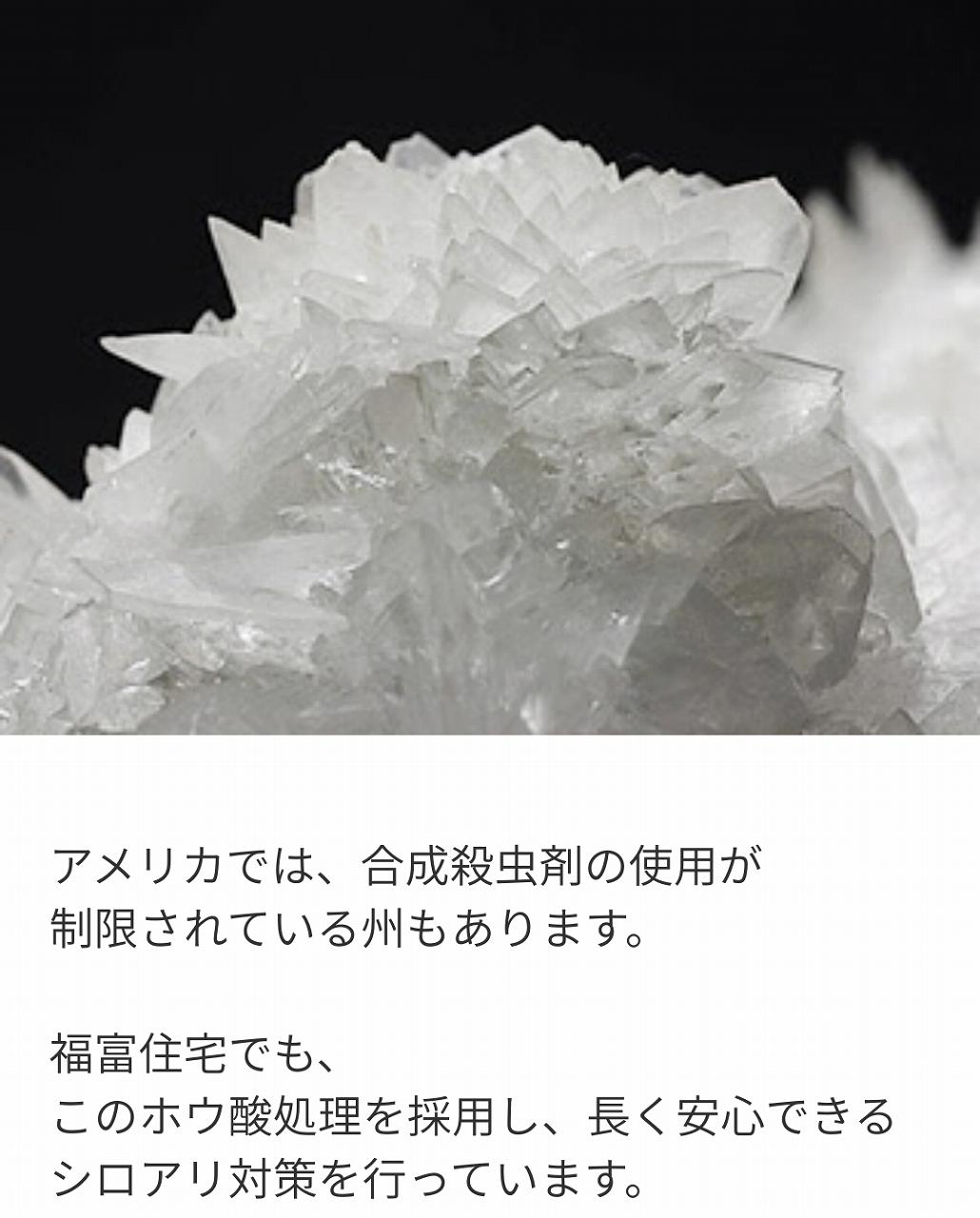 福富住宅ではホウ酸処理による防蟻対策を行っています