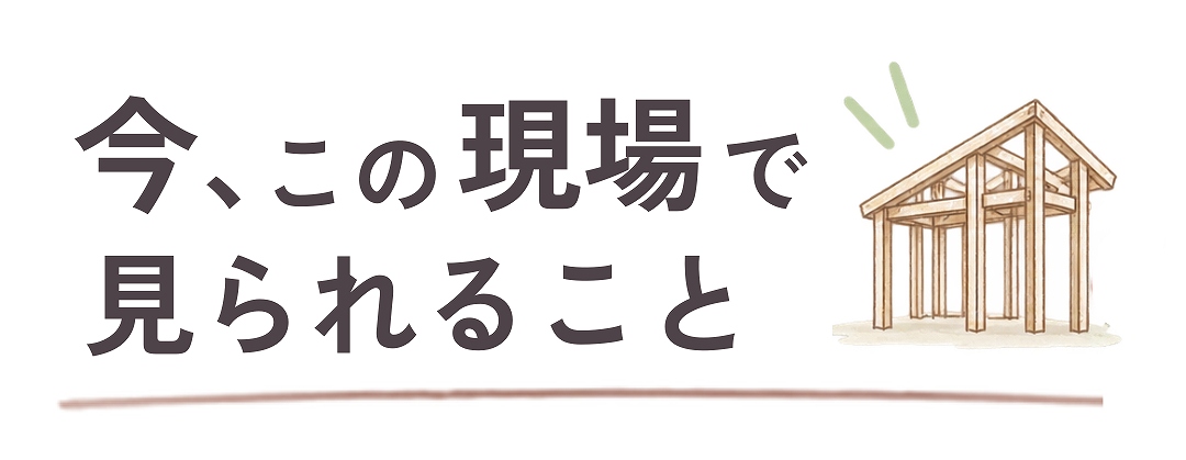 今、この現場で見れること
