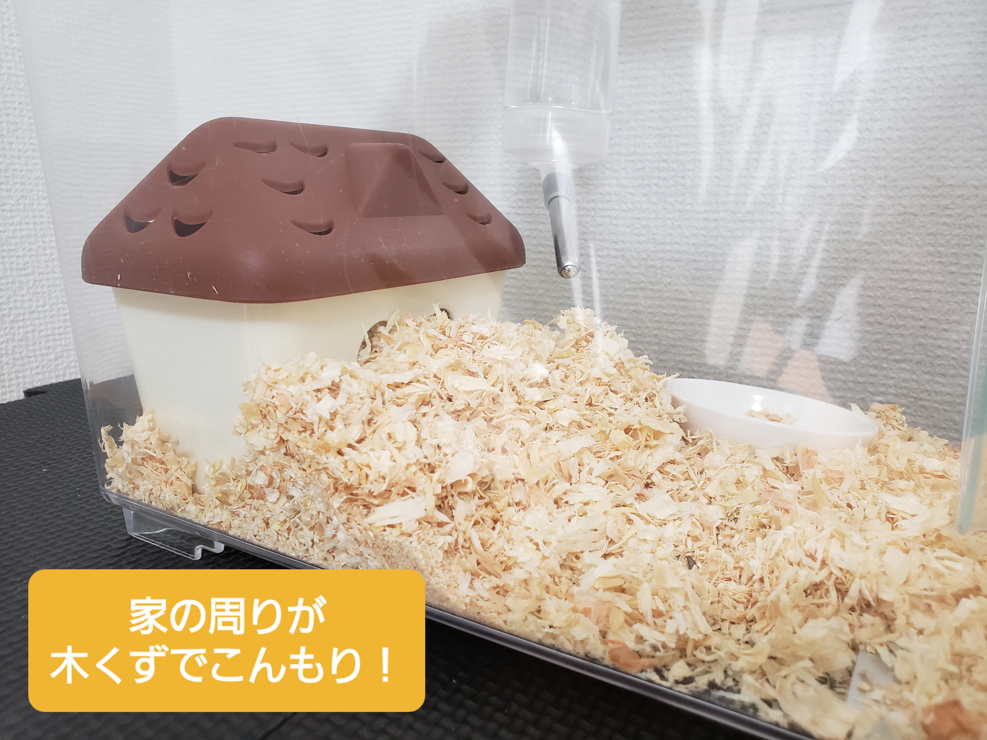 外張り断熱のハムスターのお家写真