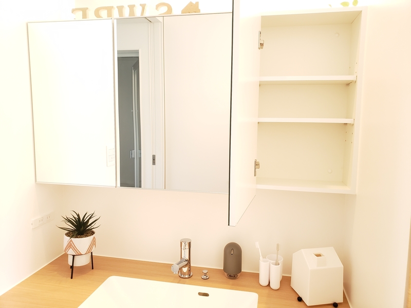 三面鏡　裏側収納付き　施工写真｜足利市　規格住宅TRETTIO GRAD 
