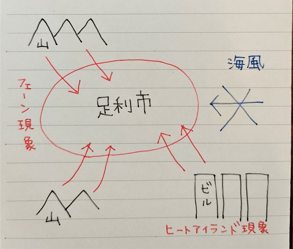 足利市周辺の気温上昇の原因3つ