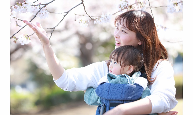 ママと子供が桜を見ている画像