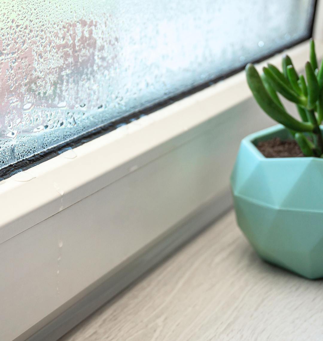 窓の結露の画像