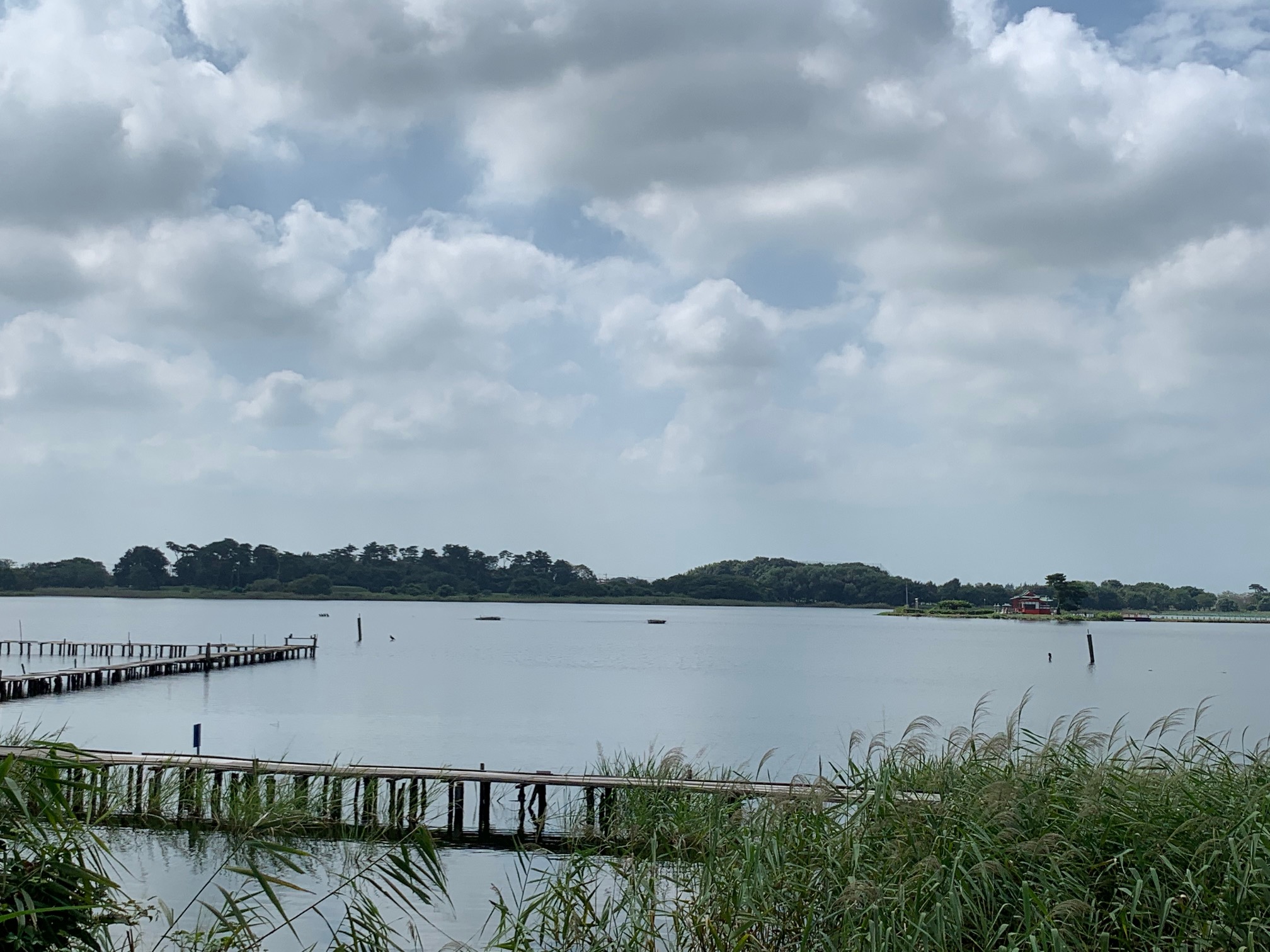多々良沼公園